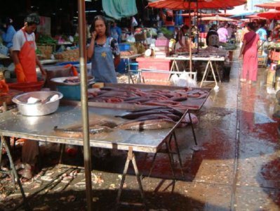 mercado (22)  ALIMENTOS MERCADO